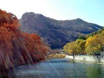 管家婆黑白马报图库，佳丽纤美